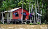 Programa Bolsa Verde está disponível para 344 assentamentos da Amazônia
