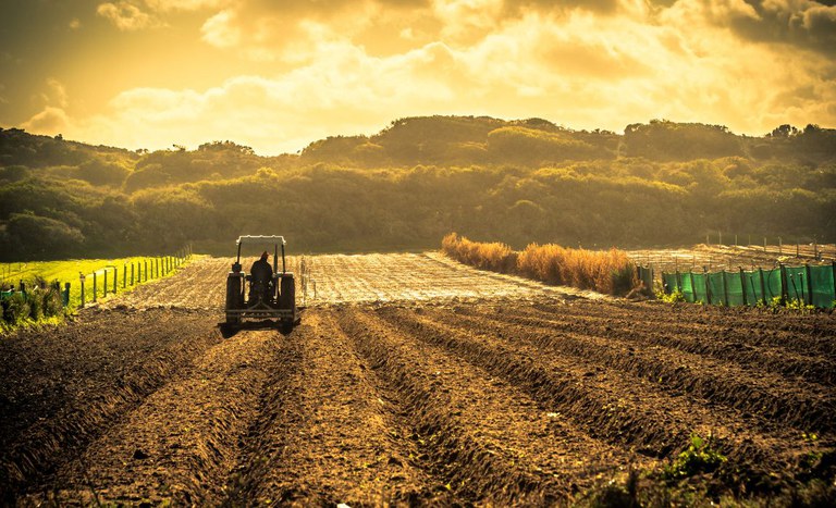 Programa Terra Cidadã vai ampliar oferta de serviços de apoio à reforma agrária e à governança fundiária