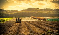 Programa vai ampliar oferta de serviços de apoio à reforma agrária e à governança fundiária