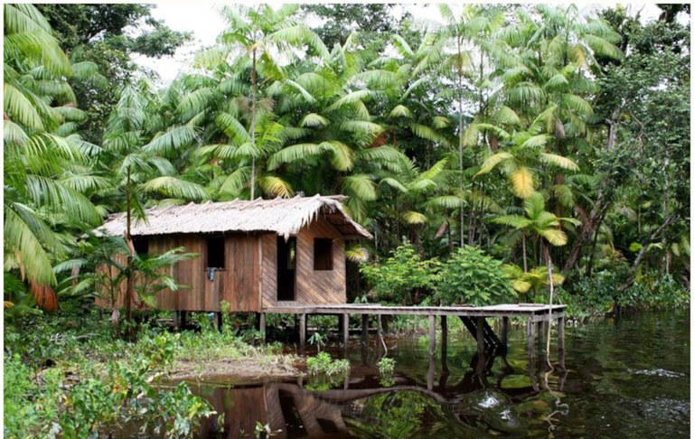 Habitação típica de assentamento agroextrativista na Ilha do Marajó (PA)