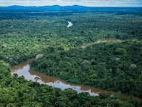 Projeto Regulariza Amazônia abre seleção para contratação de consultoria