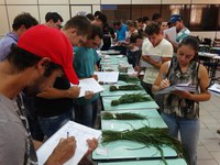 Pronera inspira programas educacionais voltados ao campo no Rio Grande do Sul