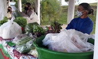 Protagonismo feminino marca feira da reforma agrária em Santa Catarina