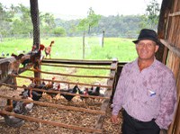 STF mantém licenciamento simplificado em assentamentos da reforma agrária