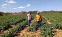 Titula Brasil: 24 municípios potiguares participam do programa