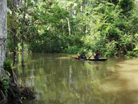União Europeia e Incra selecionam consultoria pelo projeto Regulariza Amazônia