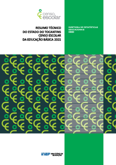 resumo_tecnico_do_estado_do_tocantins_censo_escolar_da_educacao_basica_2021.png