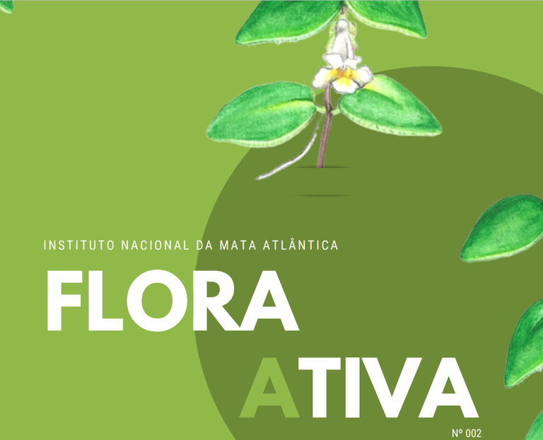 flora_ativa2.PNG