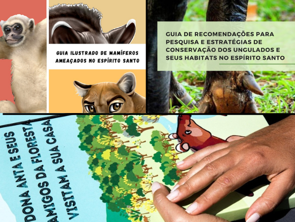 Produtos para conservação de grandes mamíferos ameaçados de extinção no Espírito Santo