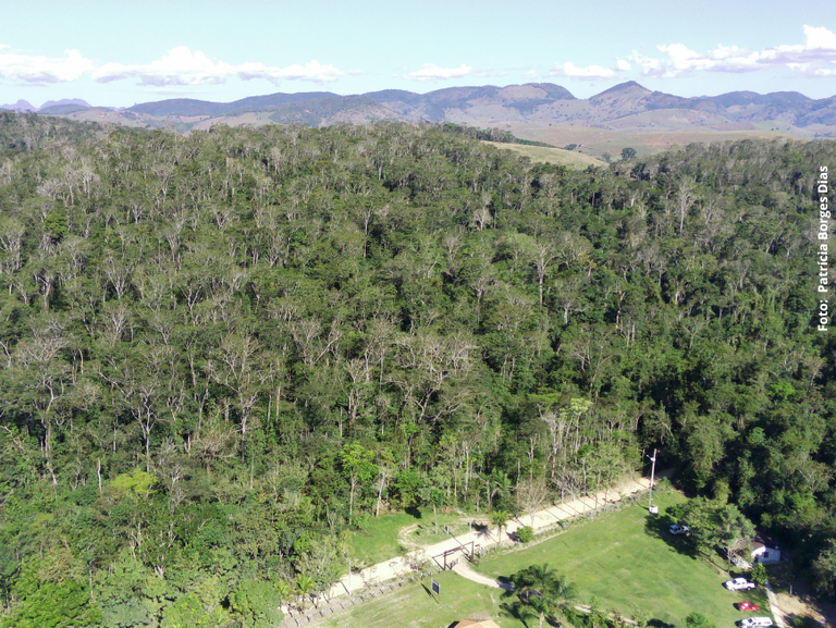 Floresta Nacional de Pacotuba