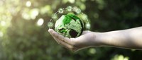 Governo Federal institui Programa Selo Verde Brasil para normalizar e certificar produtos e serviços de origem sustentável