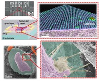 Inmetro adquire primeiro microscópio de feixe triplo de íons da América Latina