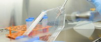 Primeiro laboratório que produz carne de pescado por cultivo celular é inaugurado no Campus do Inmetro