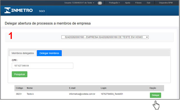 Tela Delegar abertura de processos a membros de empresa