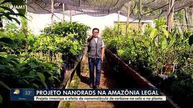 Projeto Nanorad's investiga o efeito da nanomolécula de carbono no solo e na planta