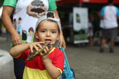 criança segurando quelônio_visitante Bosque_Foto ASCOM INPA.jpg