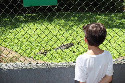 Criança observando o Viveiro dos jacarés. Foto: Igor Souza/PCE