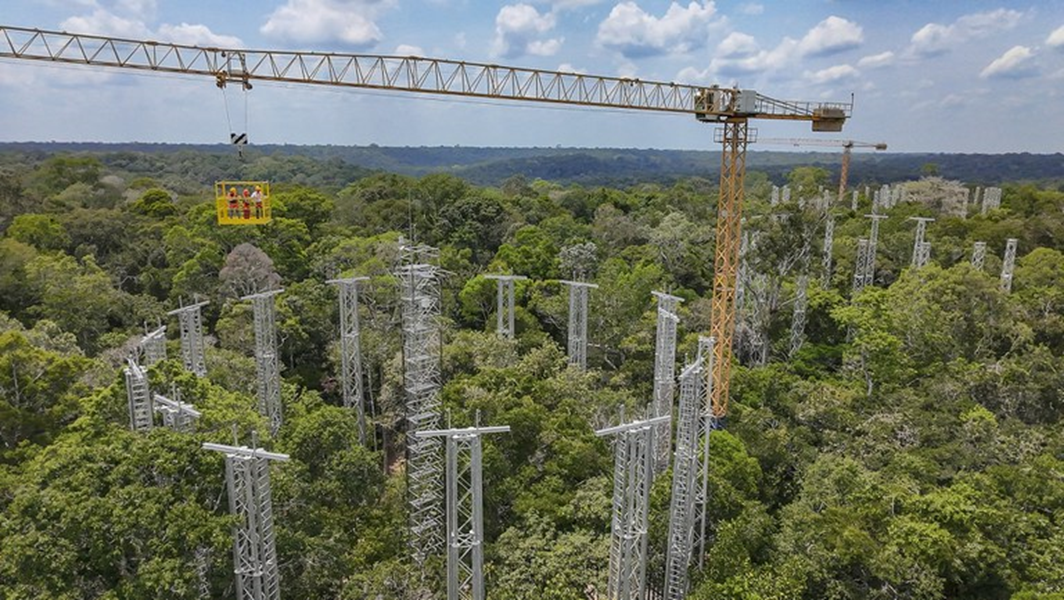 Programa científico AmazonFACE, do MCTI, executado por Inpa e Unicamp, em colaboração com o Reino Unido, é único no mundo e considerado na fronteira do conhecimento