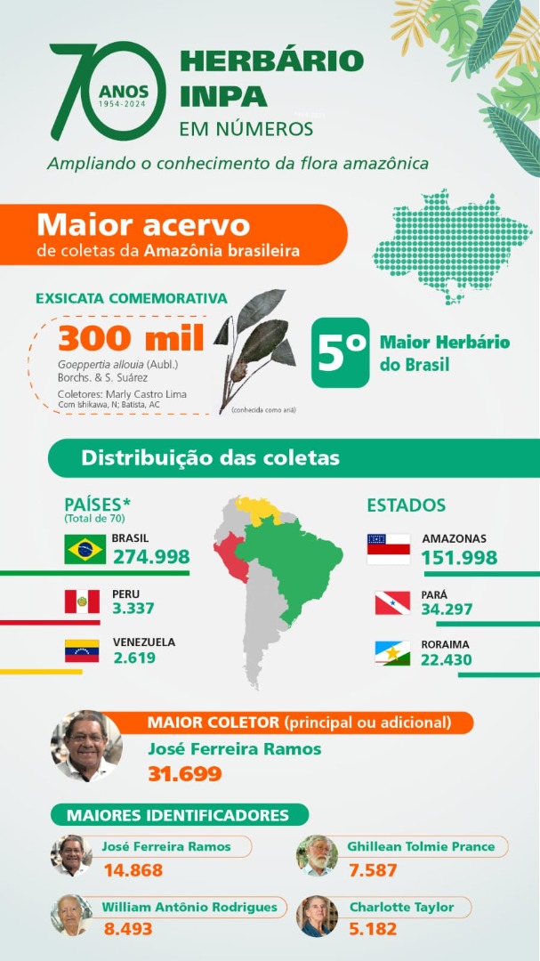 Infográfico_Herbário 70 Anos_Crédito Pedro Felipe_Ascom Inpa.jpeg