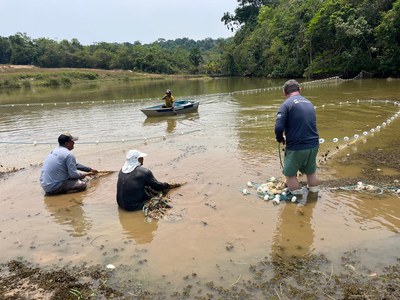 Ação de manejo de peixes-bois. Foto: Divulgação Ampa.