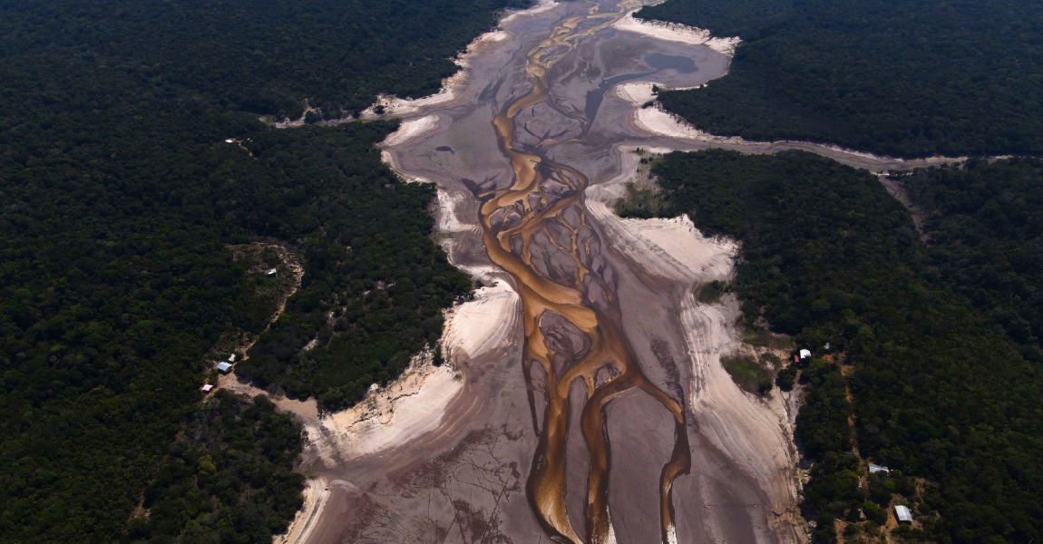 Paiol da Cultura do Inpa recebe instalação que combina ciência e arte pela preservação da Amazônia