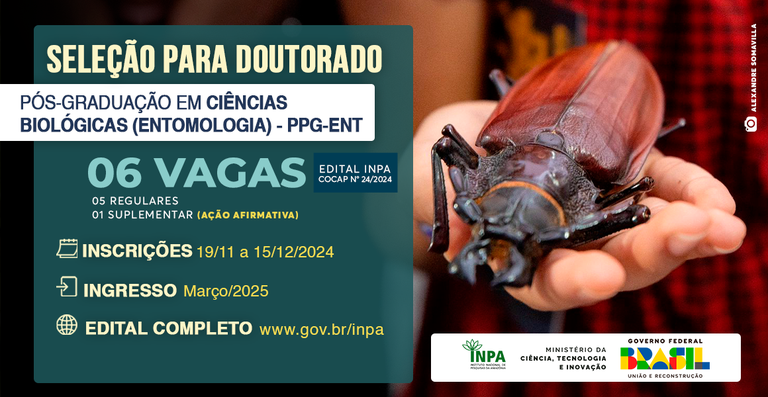 Banner_PPG Entomologia INPA_Doutorado_2024.png