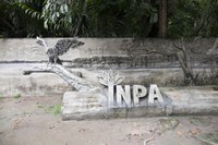 Comunicado – Expediente presencial no Inpa está suspenso na segunda-feira – 07 de junho