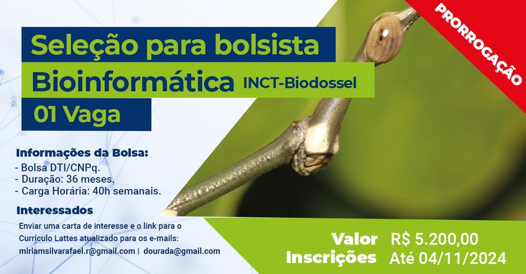 INCT Biodossel  (2).jpeg