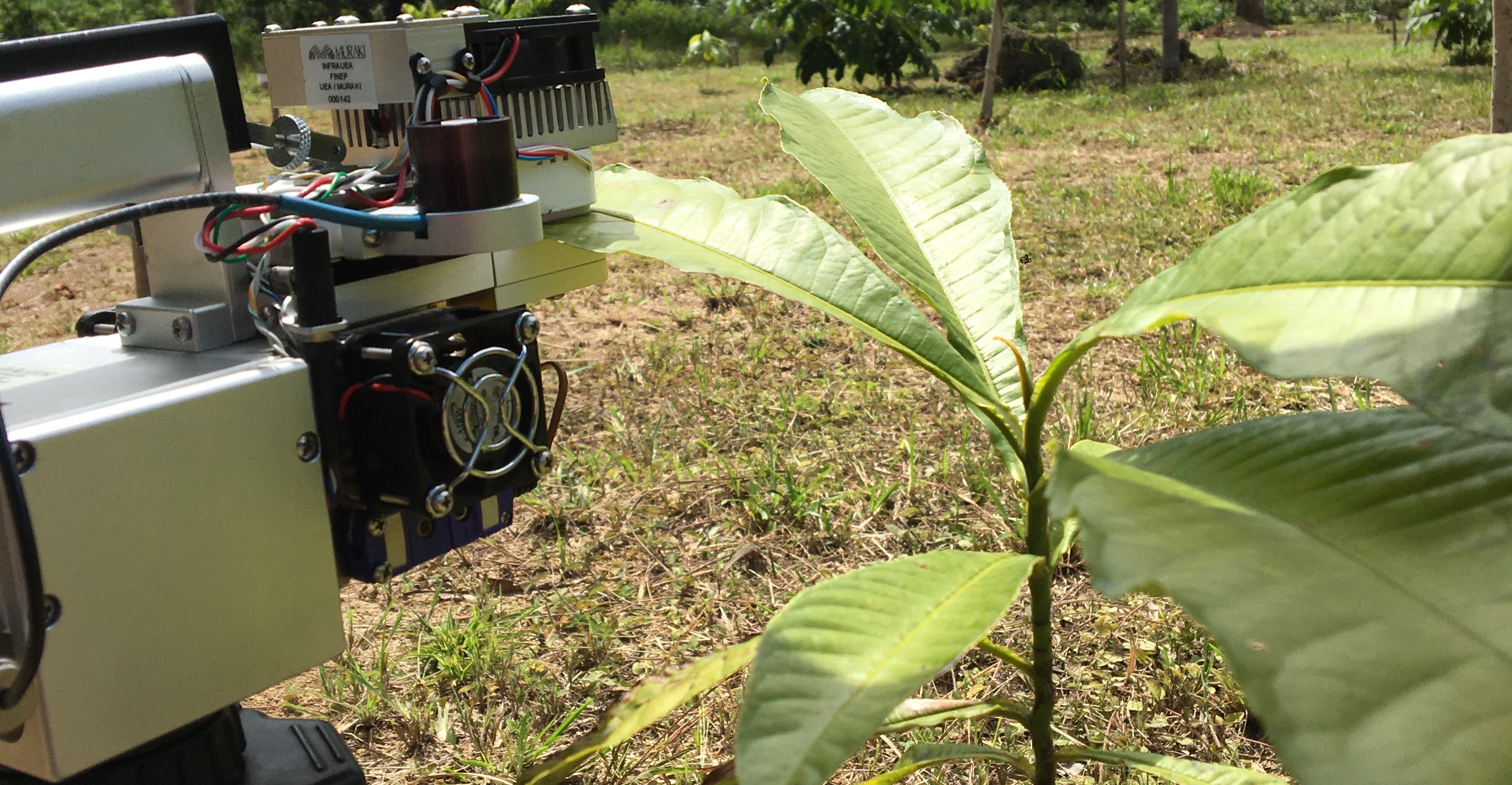 Amazônia nanotecnológica – Instituto de Pesquisas Tecnológicas