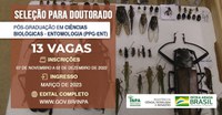 Inpa oferece 13 vagas no Doutorado em Ciências Biológicas - Entomologia