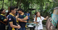 Programa Ciência na Escola do Bosque da Ciência realiza programação especial ao Dia da Árvore