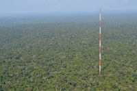 Torre Alta da Amazônia na Berlin Science Week, festival internacional de ciência