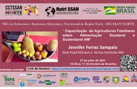 Webconferência debate capacitação de agricultores familiares sobre alimentação saudável e sustentável no Amazonas