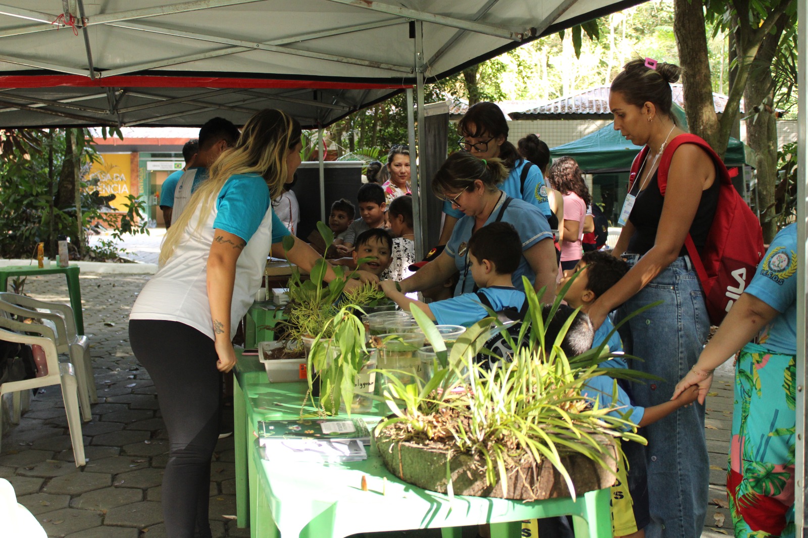 Live de Tecnologia Social do Inpa apresenta iniciativas de manejo florestal  em comunidades no as — Instituto Nacional de Pesquisas da Amazônia -  INPA