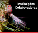 Banner-Instituicoes-Colaboradoras.png