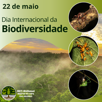 Dia Internacional da Biodiversidade