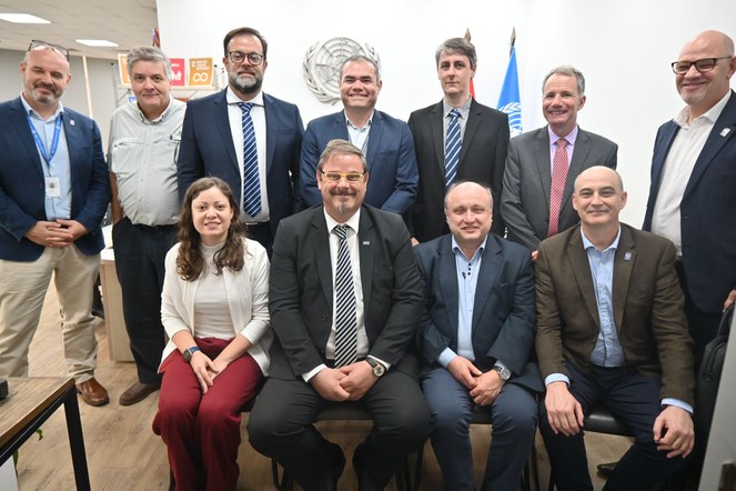 Acima, da esquerda à direita: Raul Polato (WMO), Saulo Freitas (INPE), Gilvan Sampaio (INPE), Eduardo Mingo (VP/RA III), Renato Galante (INPE), Adenilson da Silva (INPE) e Daniel Vila (WMO). Sentados, da esquerda à direita: Izabelly Costa (INPE), Clézio De Nardin (INPE), Julian Baez (WMO) e Pablo Cabrera (P/RA III)