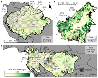 Novas pesquisas mostram que a recuperação de florestas tropicais compensa apenas um quarto das emissões de carbono de novos desmatamentos e degradação de florestas tropicais