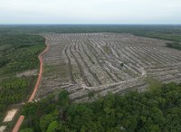 Projeto Harmonize, uma parceria do INPE com a Fiocruz, integra ciência, tecnologia e saberes locais para a promoção da saúde e sustentabilidade no Baixo Tocantins (PA)