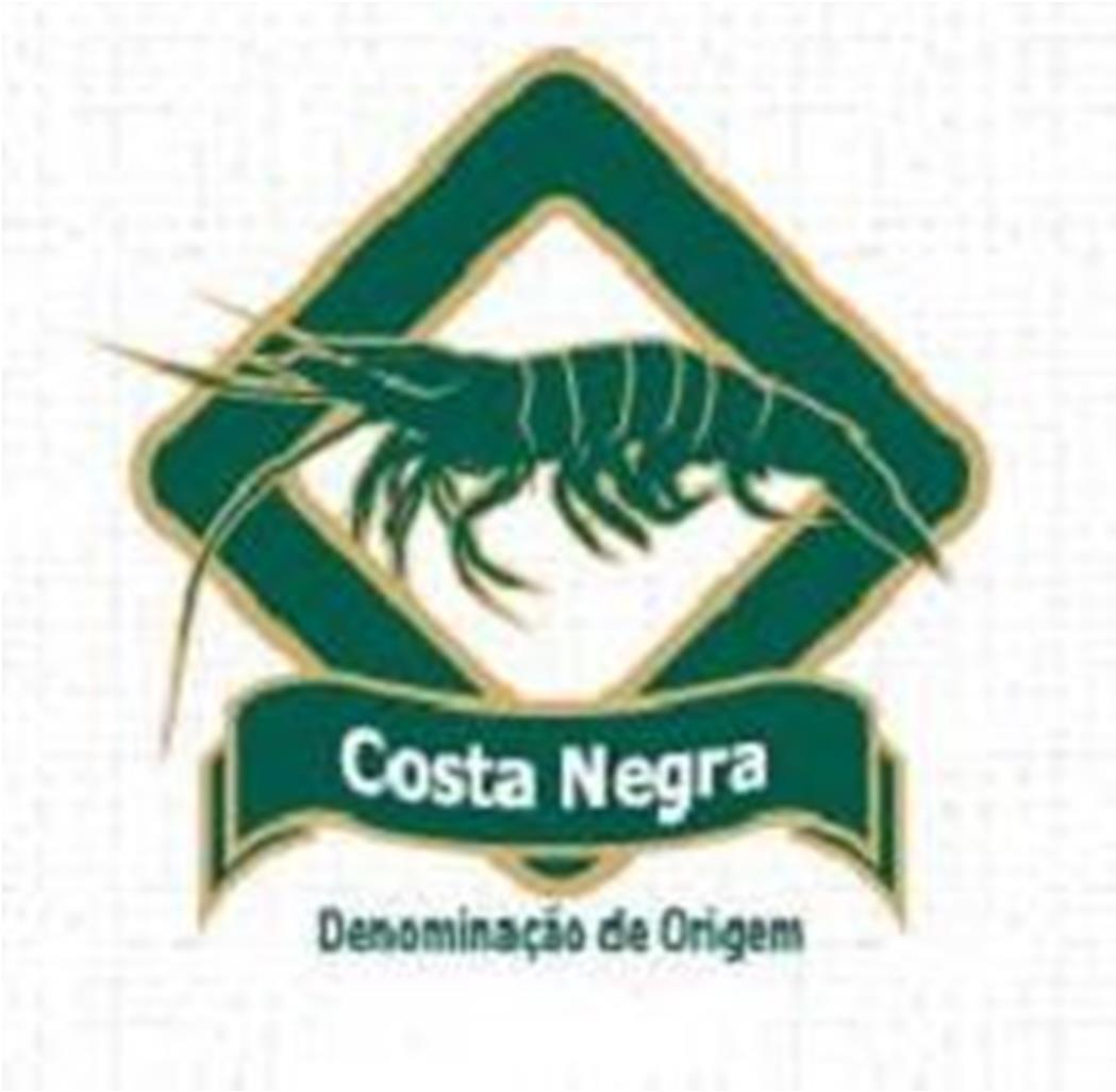 Costa Negra.png