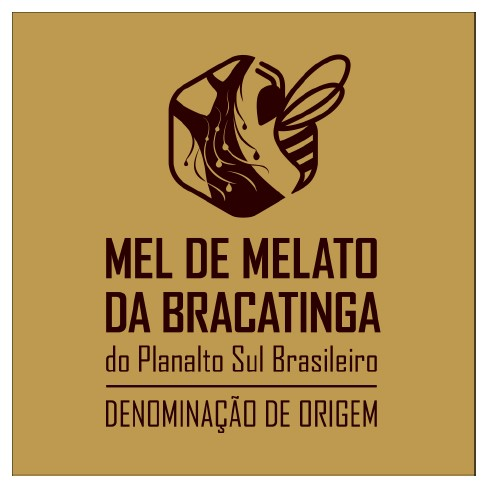 Planalto Sul Brasileiro.png