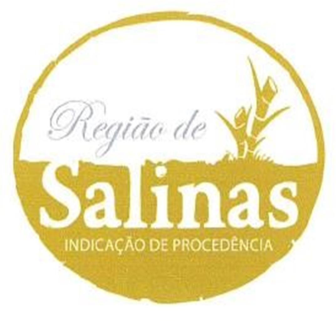 Regiao de Salinas.png