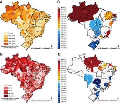 Como o aquecimento global pode multiplicar a população de ratos - BBC News  Brasil