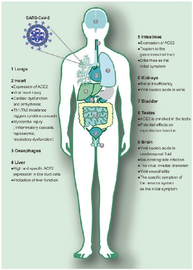 ciencia04mai.jpg