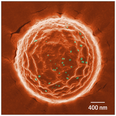 ciencia210702-3