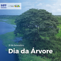 Dia da Árvore: conheça três espécies da flora pantaneira