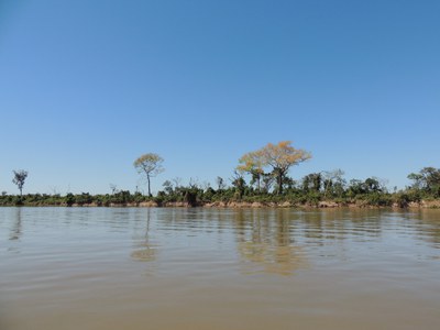 Pantanal