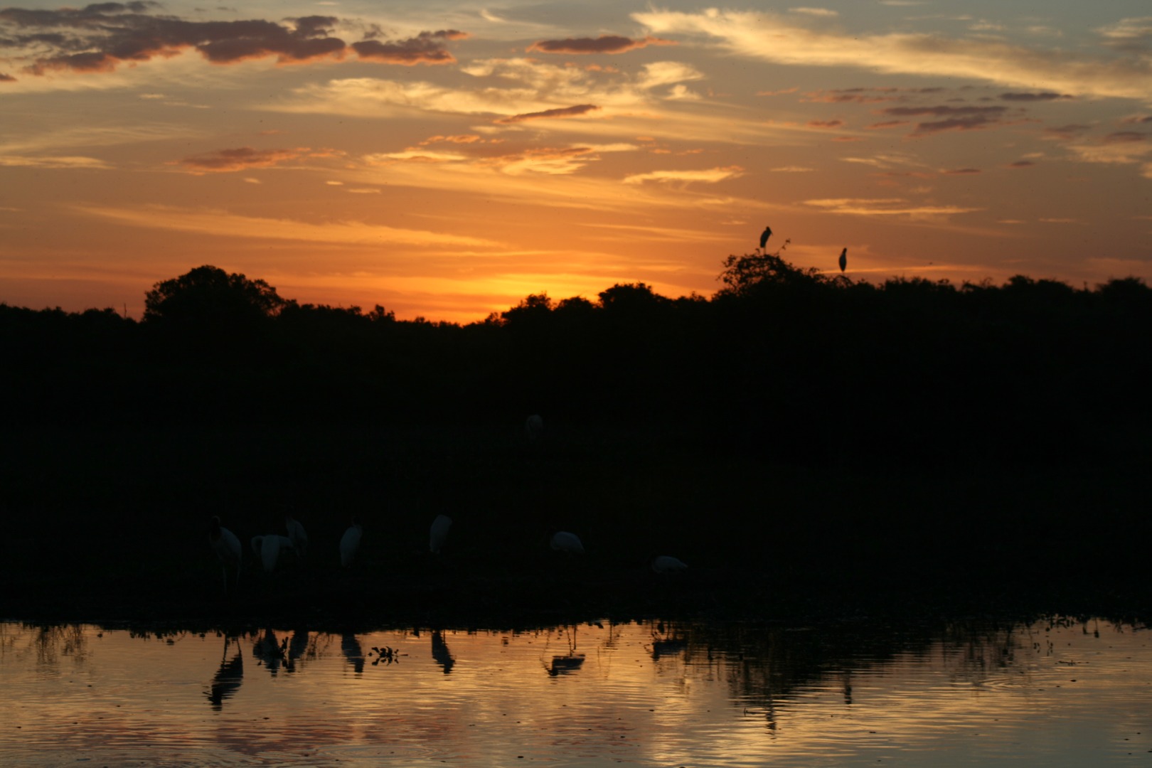 Pantanal