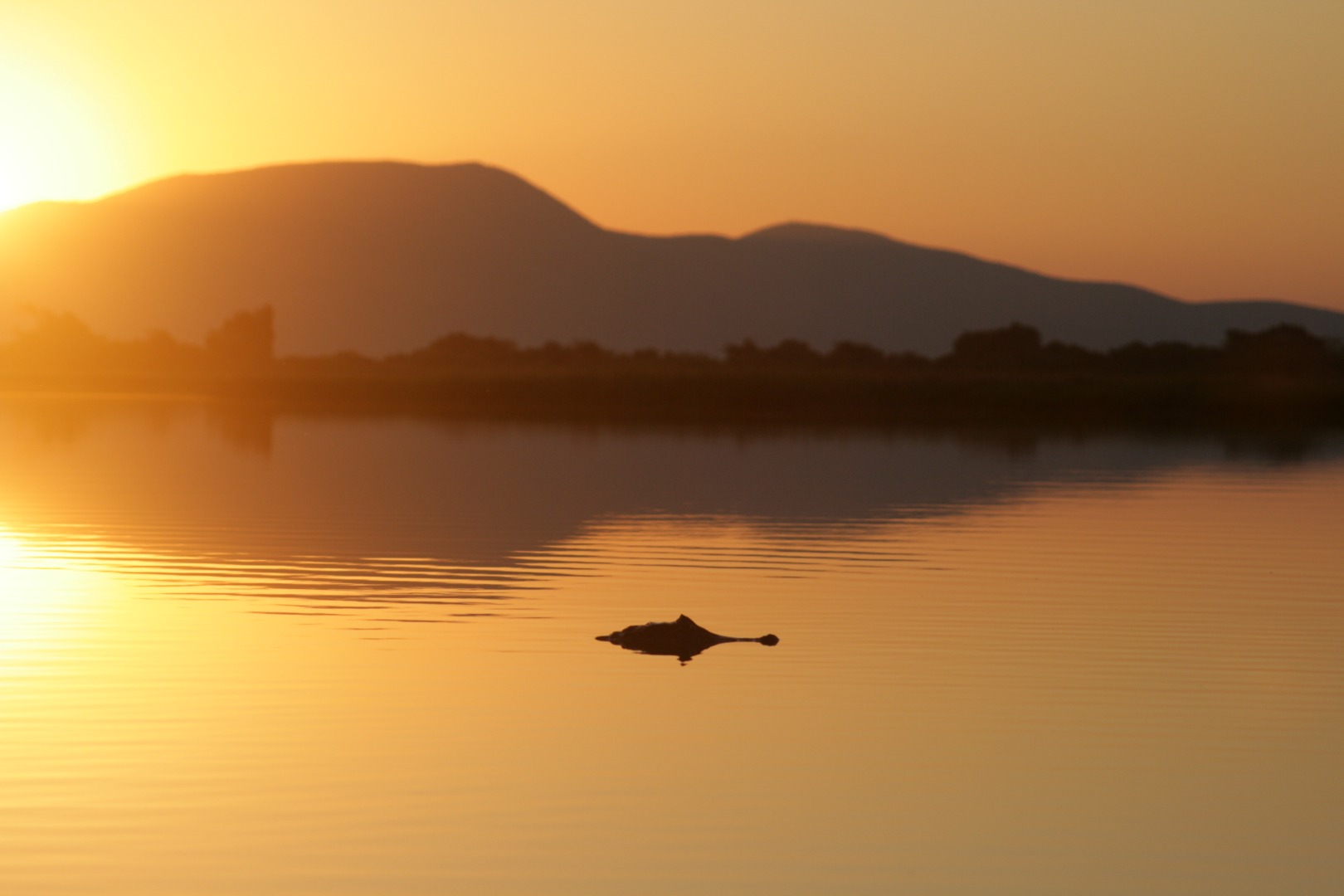 Pantanal