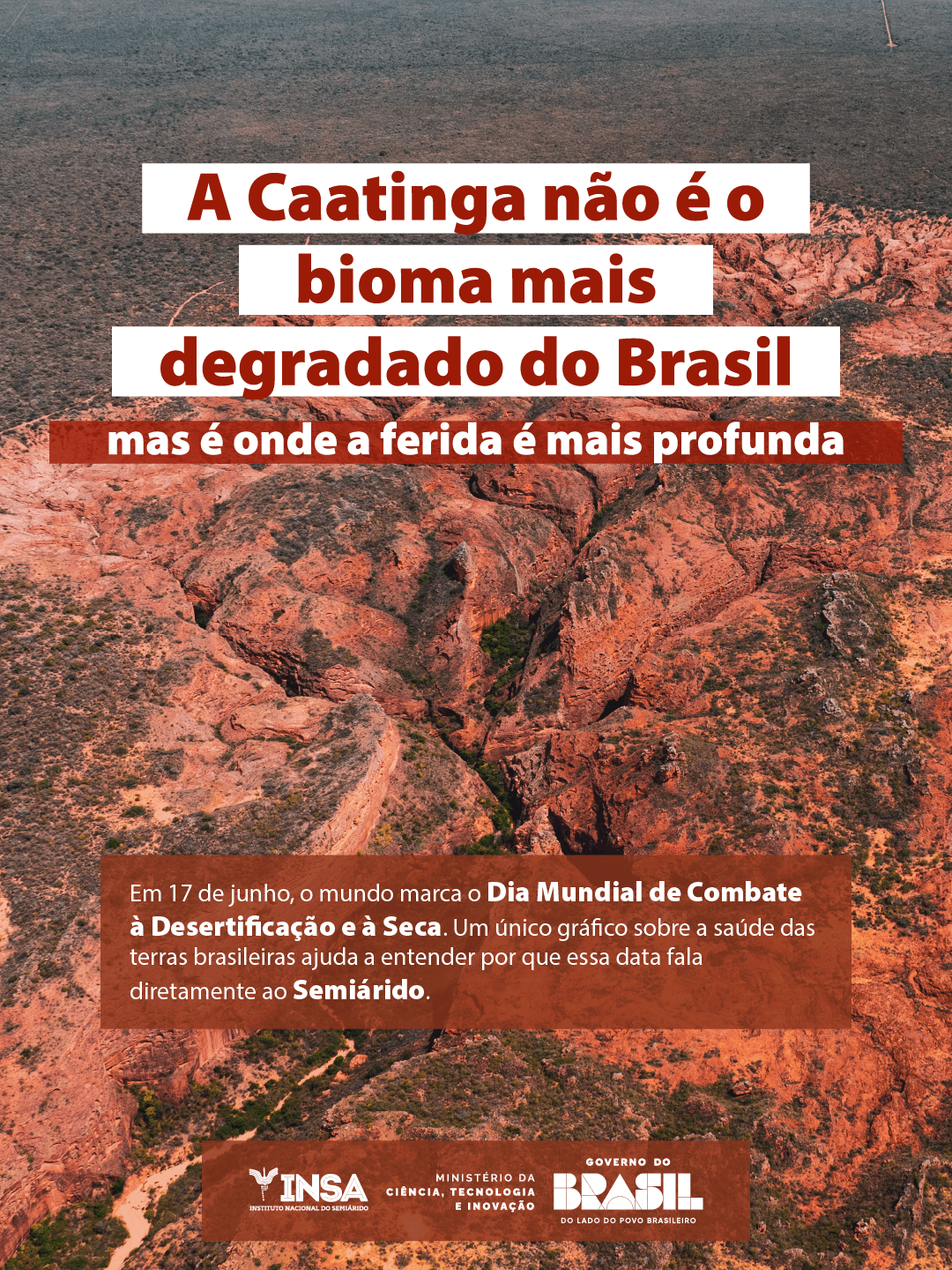 Card com elementos textuais e foto de uma paisagem de floresta com rochas em primeiro plano
